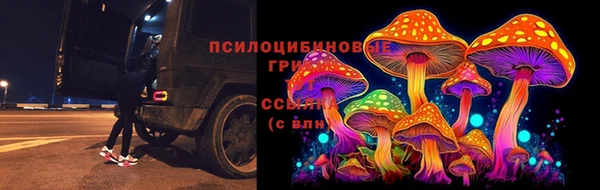 ГАЛЛЮЦИНОГЕННЫЕ ГРИБЫ Семикаракорск