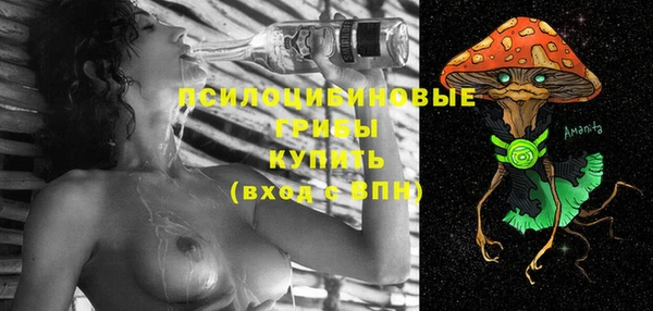 спиды Алзамай