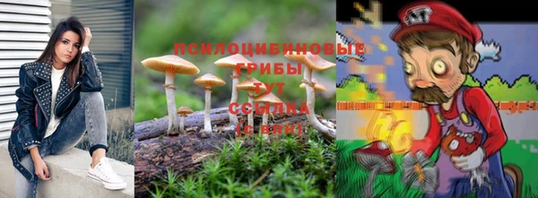 спиды Алзамай
