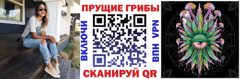 KRAKEN зеркало  Буй  Галлюциногенные грибы GOLDEN TEACHER 